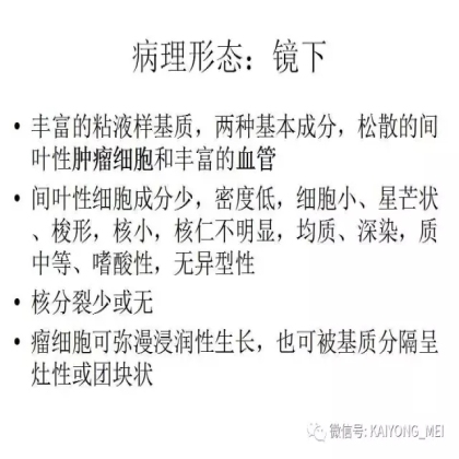 女性生殖道软组织肿瘤病理诊断及进展（二）