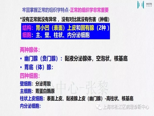 上消化道早癌病理诊断中的困惑及基本对策回顾
