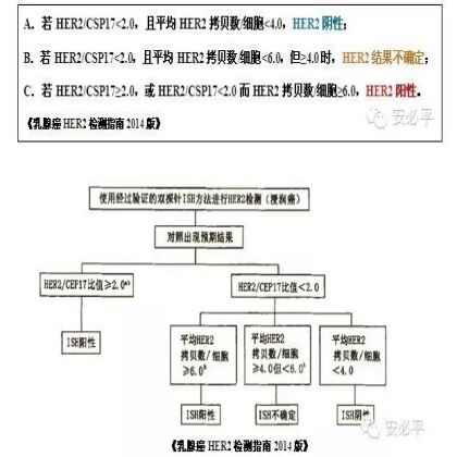 乳腺癌HER2 FISH检测——靶向用药的金标准(二)HER2 FISH检测结果判读