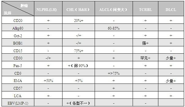 霍奇金淋巴瘤免疫分型及鉴别