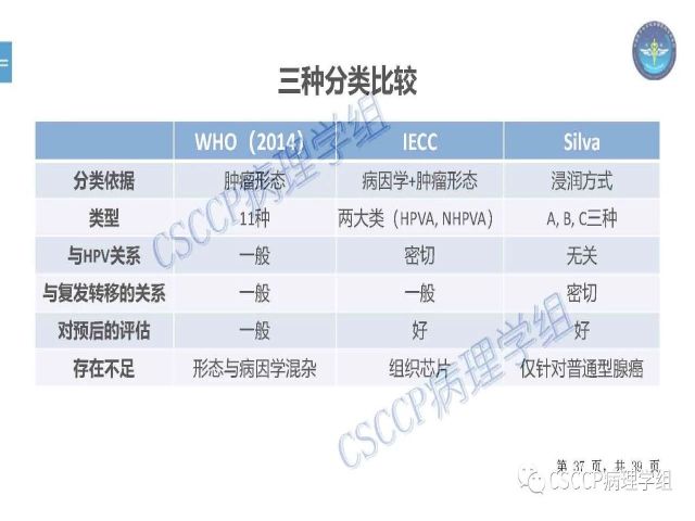 黄文亭 张询：宫颈腺癌分类介绍