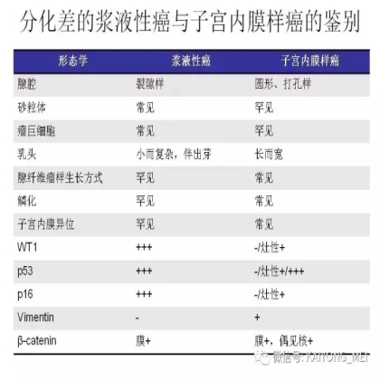 卵巢癌的病理诊断新进展（二）