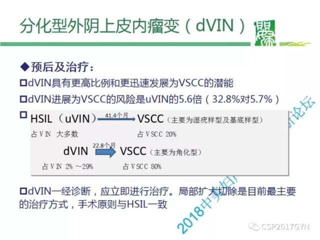 非HPV相关的外阴鳞状细胞肿瘤