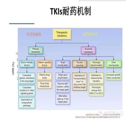 肿瘤精确医疗与分子病理检测