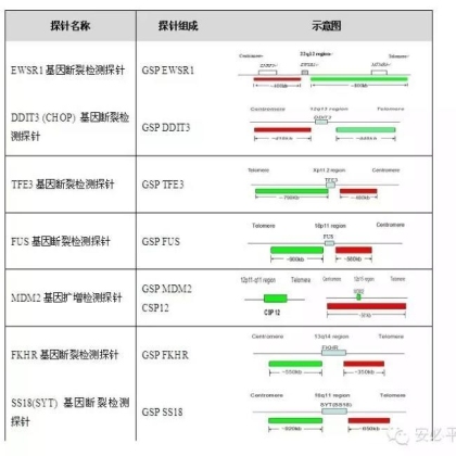 软组织肉瘤辅助诊断方法——FISH探针系列