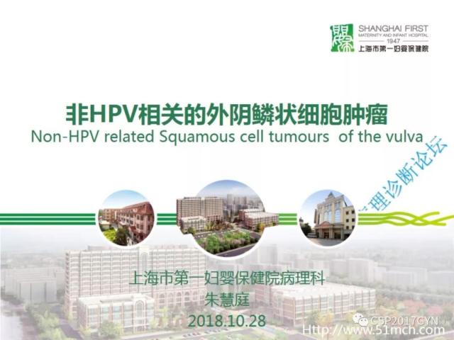 非HPV相关的外阴鳞状细胞肿瘤