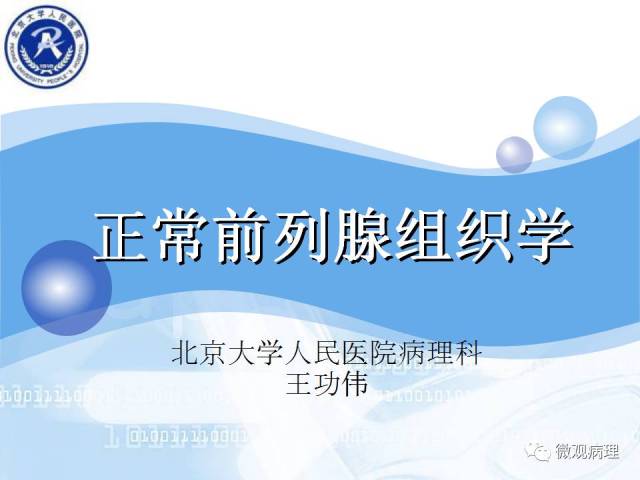 正常前列腺组织学