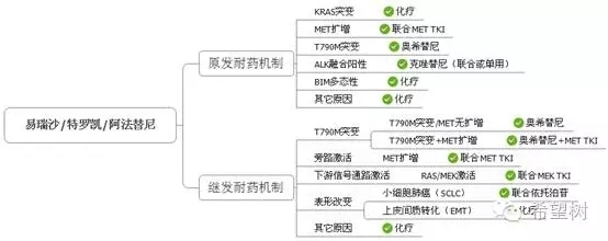 EGFR突变的耐药对策