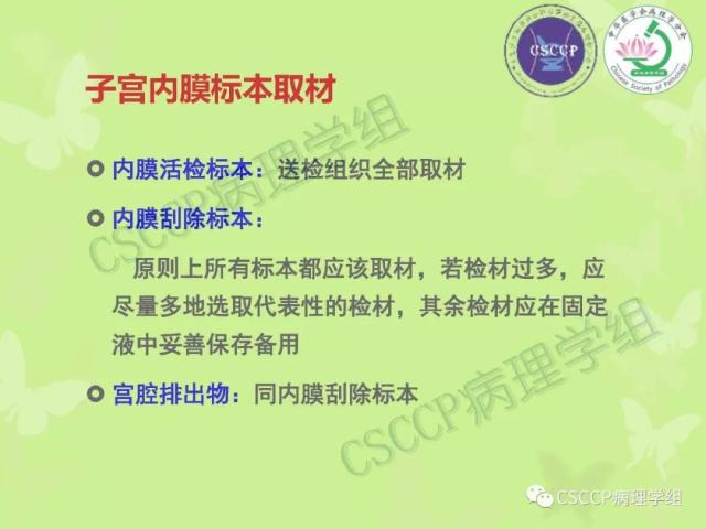 宫颈与子宫病变病理标本取材