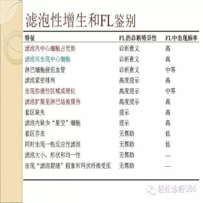 滤泡性淋巴瘤