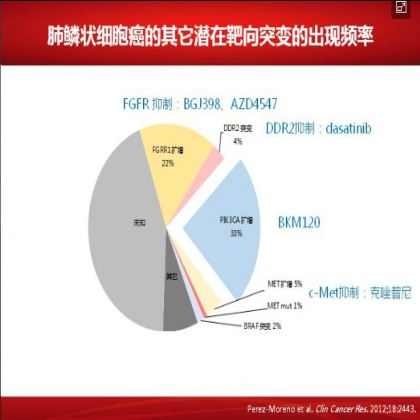 如何优化肺鳞癌的治疗