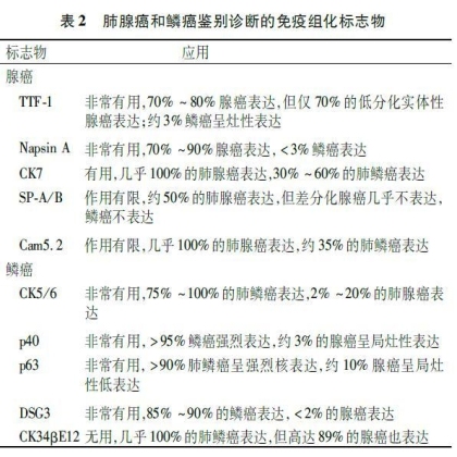 非小细胞肺癌免疫组化标志物专家共识(2014)
