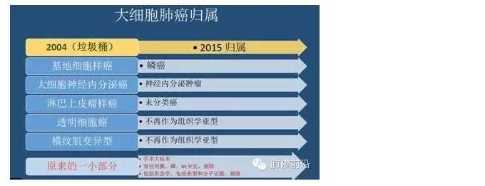 2015版WHO肺部肿瘤组织学分类变化和争议