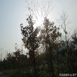 2012-12-10