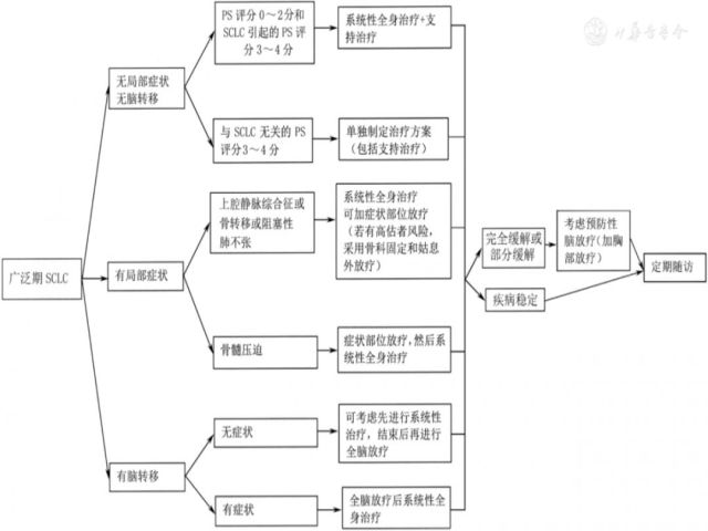 肺癌临床诊疗指南（2018版）