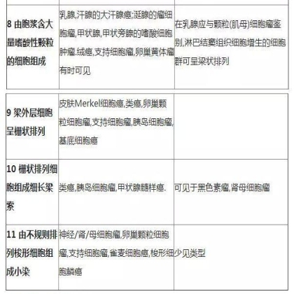 肿瘤病理学分类大全