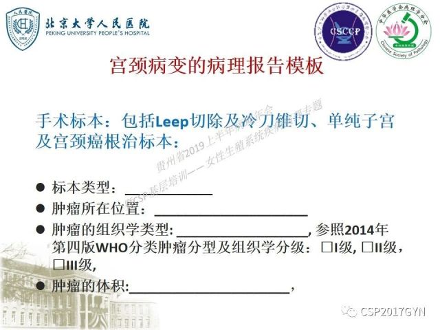 中华病理学会基层培训遵义站讲座（三）——宫颈鳞状上皮病变的病理诊断与鉴别诊断