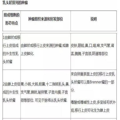 肿瘤病理学分类大全