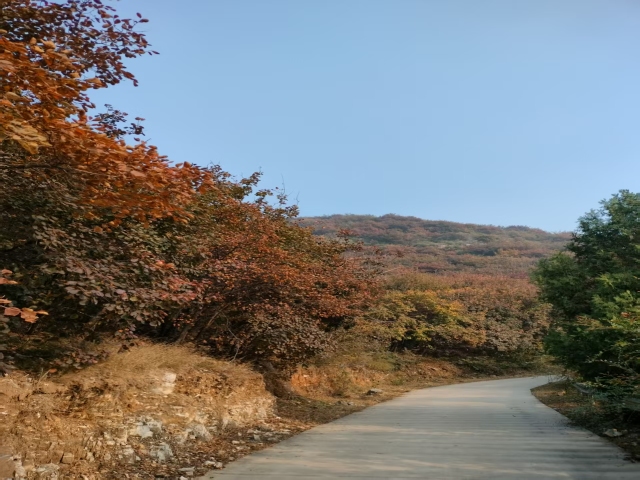 周日上班都忙啥 周日上班都忙啥