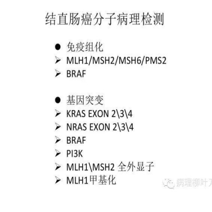 肿瘤精确医疗与分子病理检测