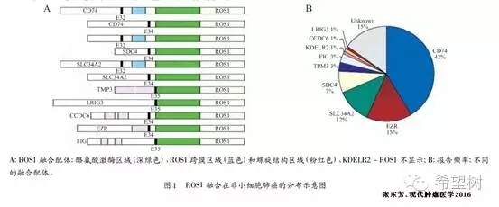 ROS1阳性NSCLC靶向治疗进展