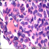 2012-06-06