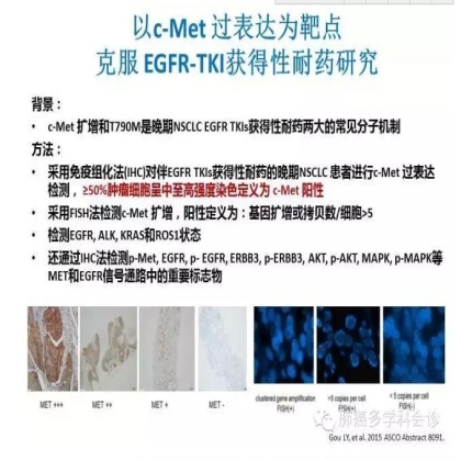 肺癌靶向治疗重要进展荟萃（2015 ASCO）
