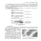 默认相册
