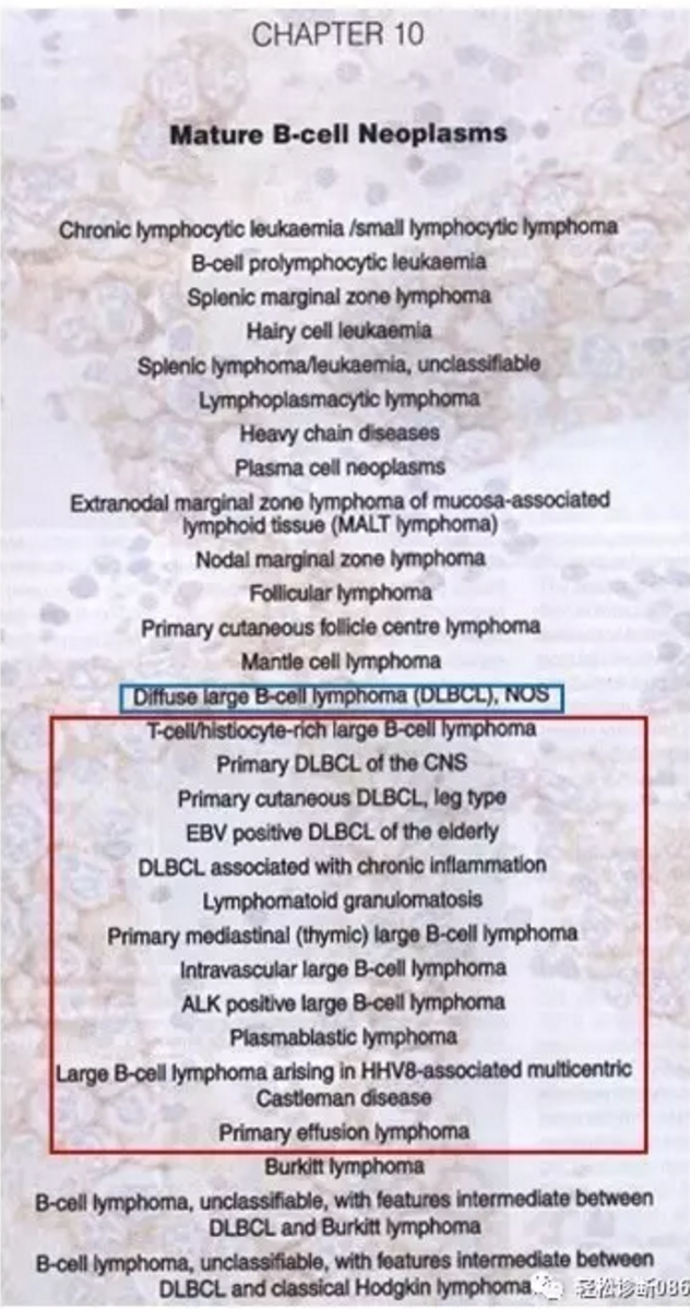 侵袭性B细胞淋巴瘤——DLBCL（7）