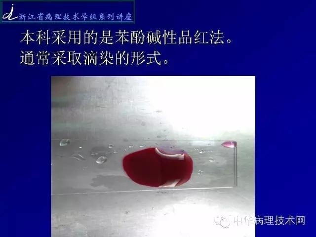 特殊染色-抗酸染色