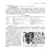 默认相册