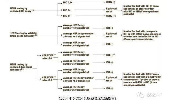 乳腺癌HER2 FISH检测——靶向用药的金标准(一)HER2检测方法比较