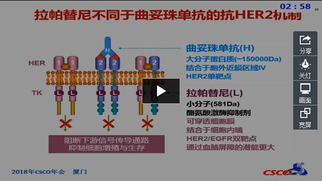 2018 CSCO 乳腺癌脑转移诊疗指南解读