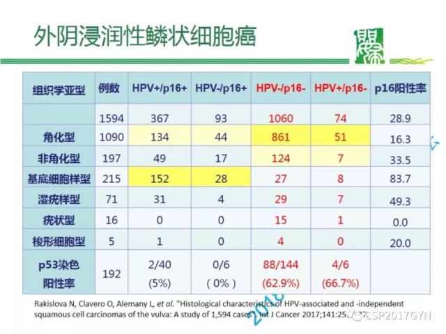 非HPV相关的外阴鳞状细胞肿瘤