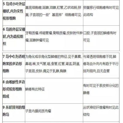 肿瘤病理学分类大全
