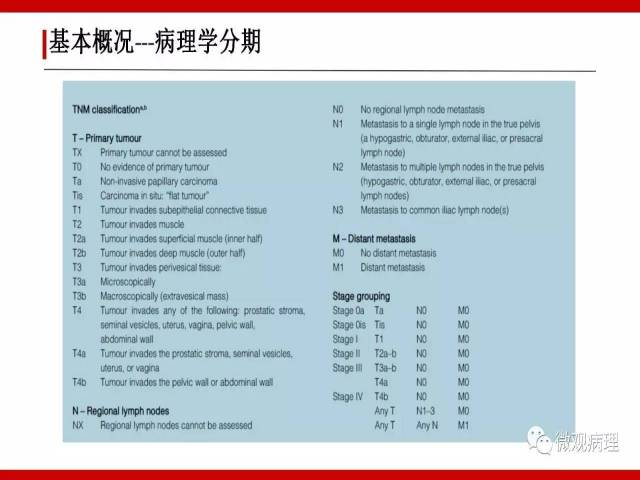 泌尿课程/浸润性尿路上皮癌病理学类型