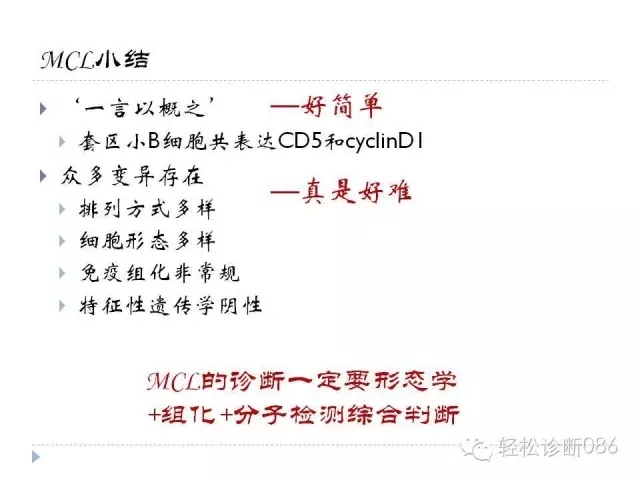 关于套细胞淋巴瘤的总结课件
