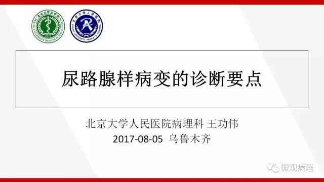 泌尿课程/尿路腺样病变的诊断要点