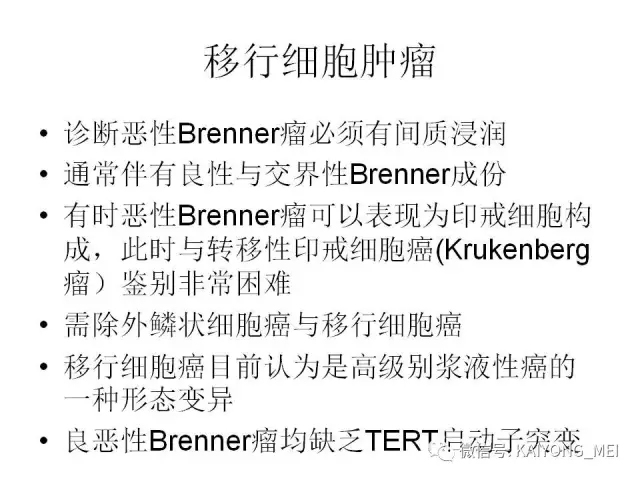 卵巢癌的病理诊断新进展（四）