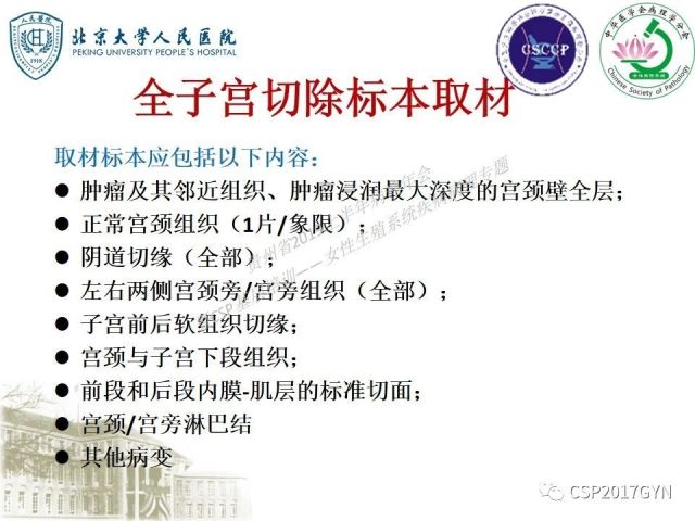 中华病理学会基层培训遵义站讲座（三）——宫颈鳞状上皮病变的病理诊断与鉴别诊断