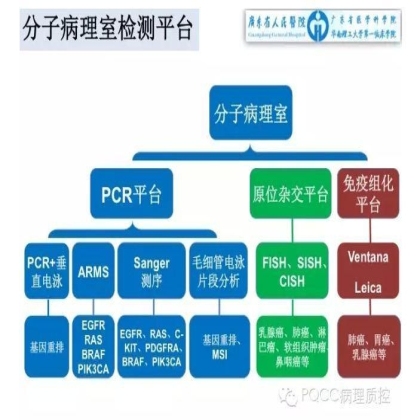 PQCC示范实验室展示——广东省人民医院病理科