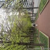2012-04-01
