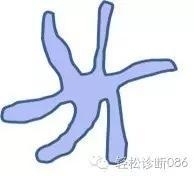 常用免疫组化指标在正常淋巴结中的表达（三）