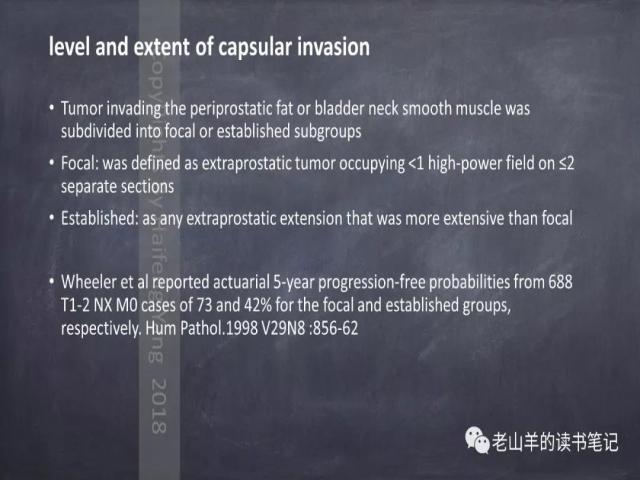 AJCC第8版 前列腺癌分期 之 病理学要点
