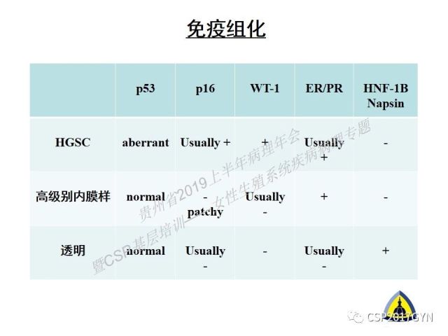 中华病理学会基层培训遵义站讲座（一）——卵巢和输卵管浆液性肿瘤的诊断和鉴别诊断