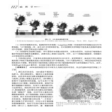 默认相册
