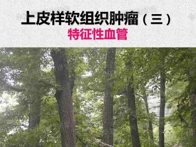 看图说话－－－巜具有上皮样特征的软组织肿瘤诊断与鉴别诊断》课件笔记摘录
