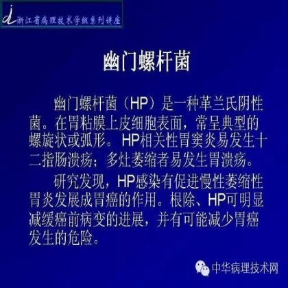 特殊染色 - HP染色