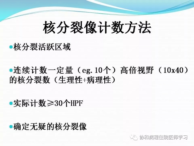 病理学基础知识 : 核分裂像的识别