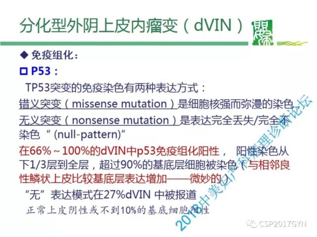 非HPV相关的外阴鳞状细胞肿瘤